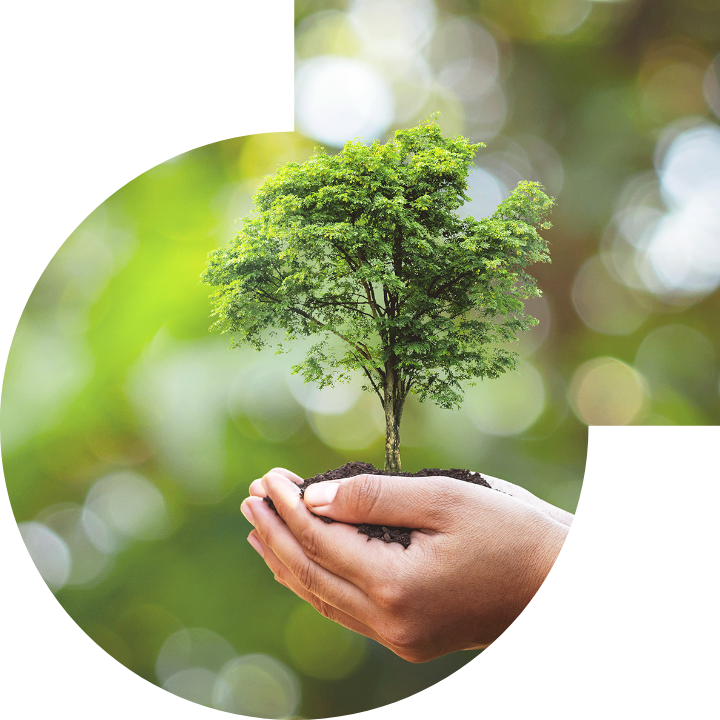 關懷人類、文化、環境與社會